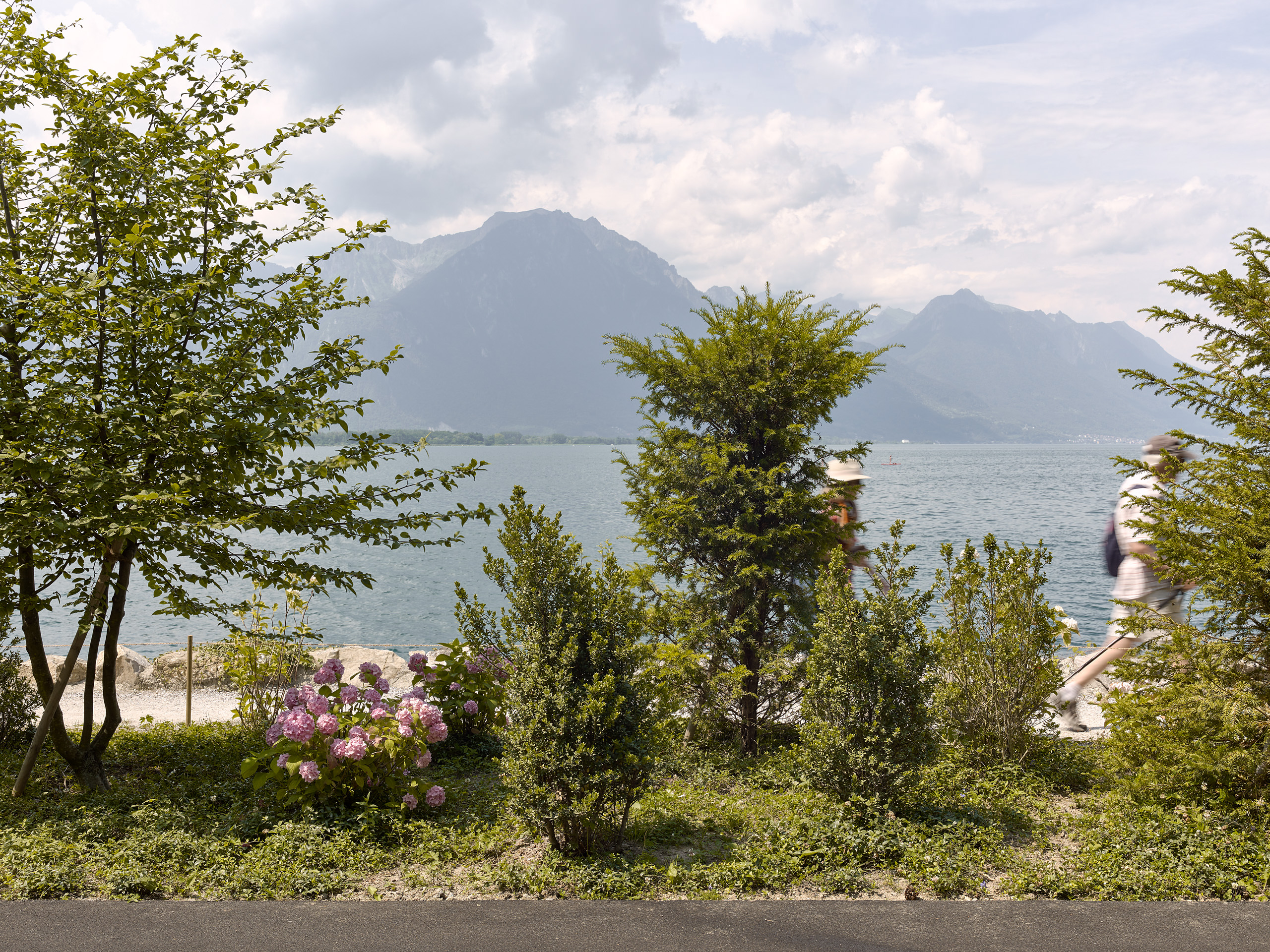 Ahp0013 alpa 103052 C